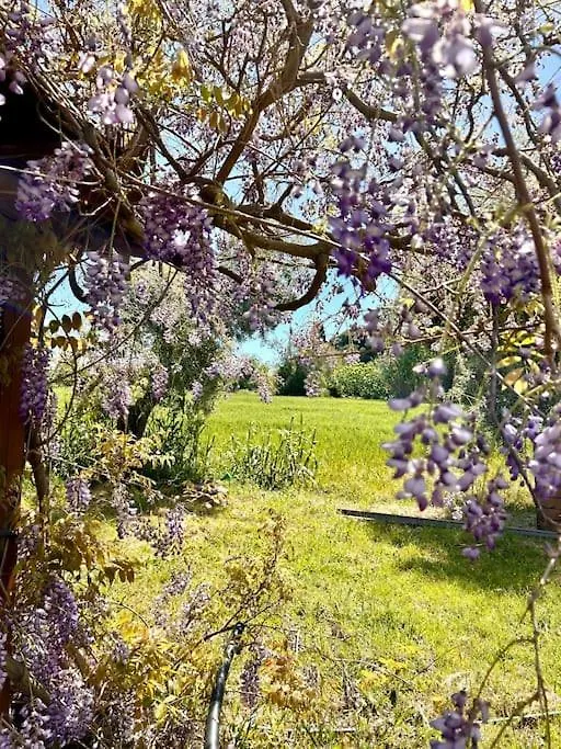 Casa Riva - Among Olive Trees And The Tuscan Coast Vada