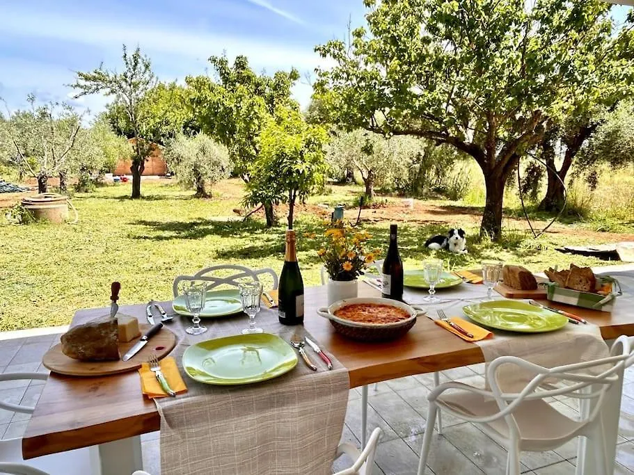 Casa Riva - Among Olive Trees And The Tuscan Coast Vada
