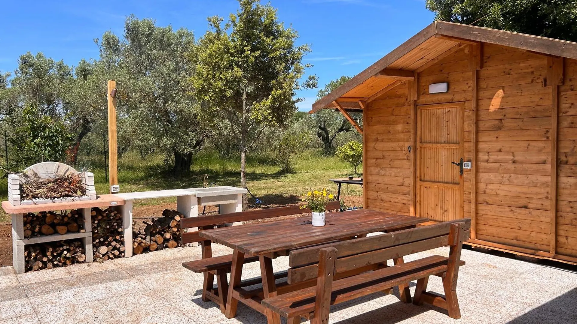 Casa Riva - Among Olive Trees And The Tuscan Coast Vada Holiday home