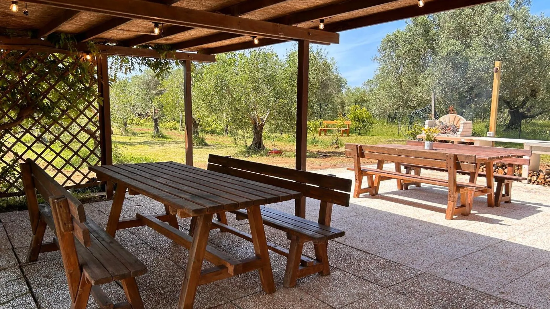 Casa Riva - Among Olive Trees And The Tuscan Coast Vada