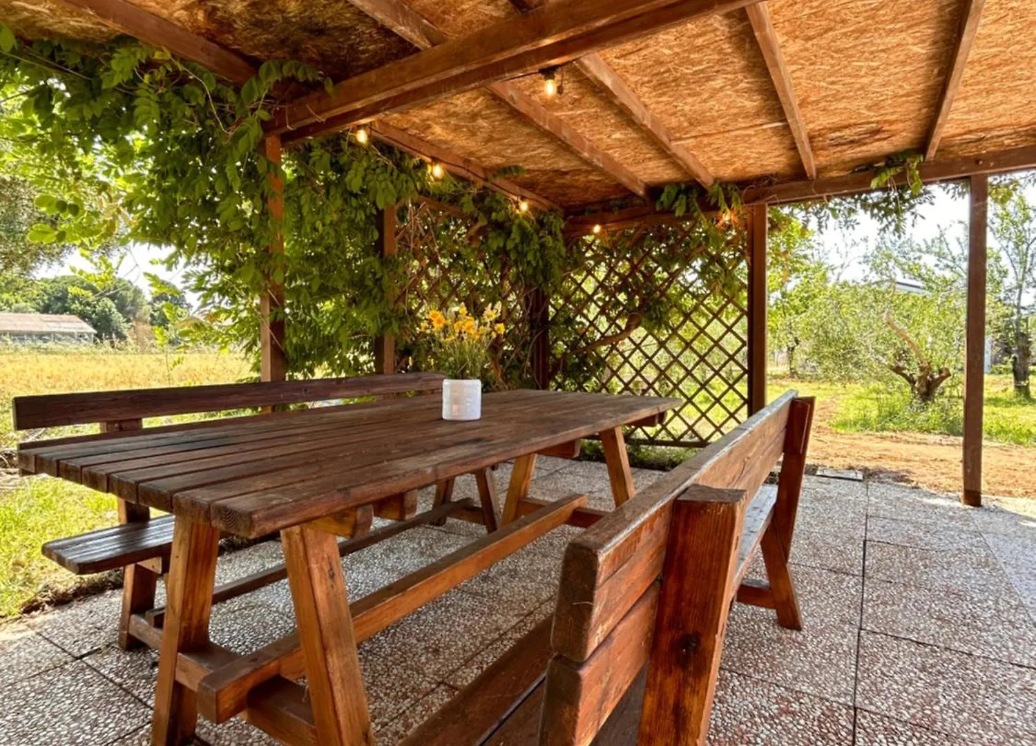 Holiday home Casa Riva - Among Olive Trees And The Tuscan Coast Vada