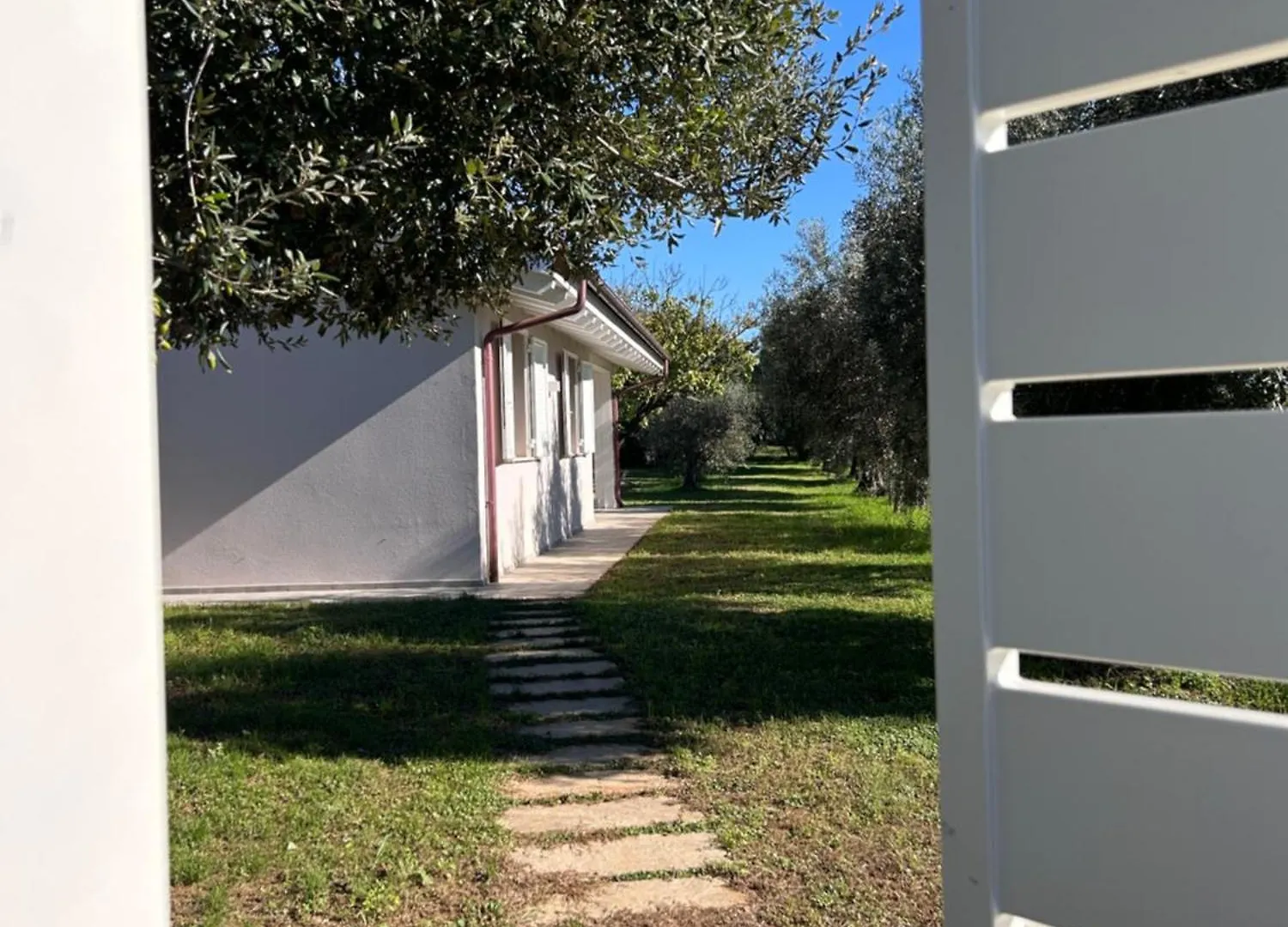 Holiday home Casa Riva - Among Olive Trees And The Tuscan Coast Vada Italy