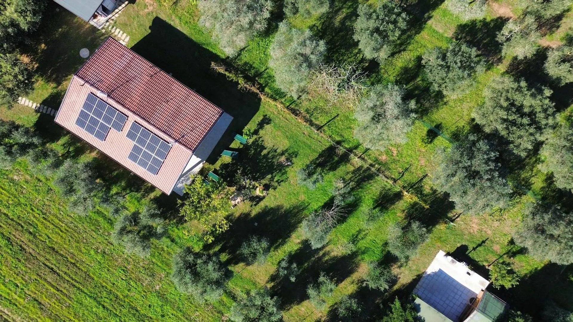 Holiday home Casa Riva - Among Olive Trees And The Tuscan Coast Vada