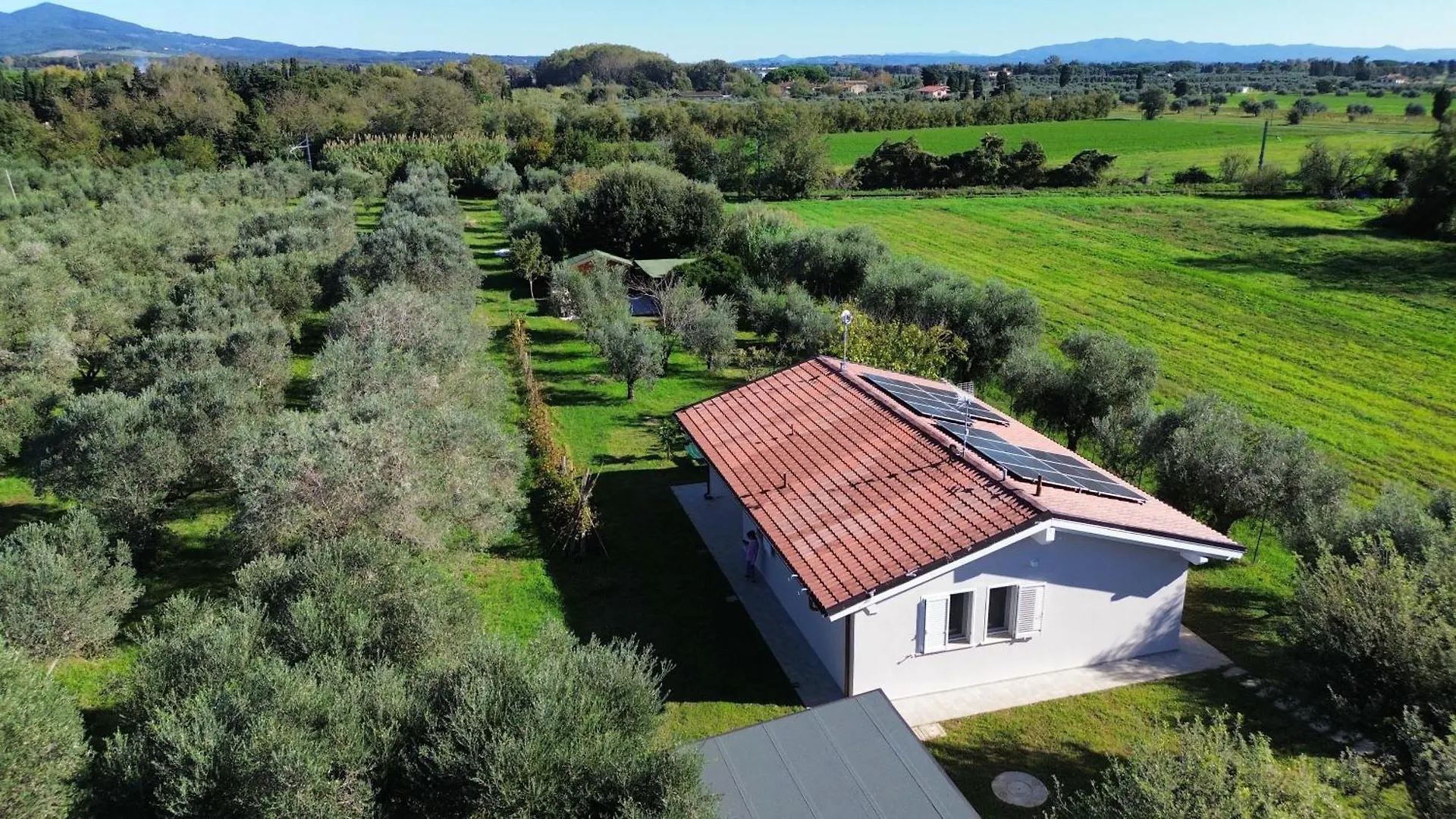 Casa Riva - Among Olive Trees And The Tuscan Coast Vada Italy