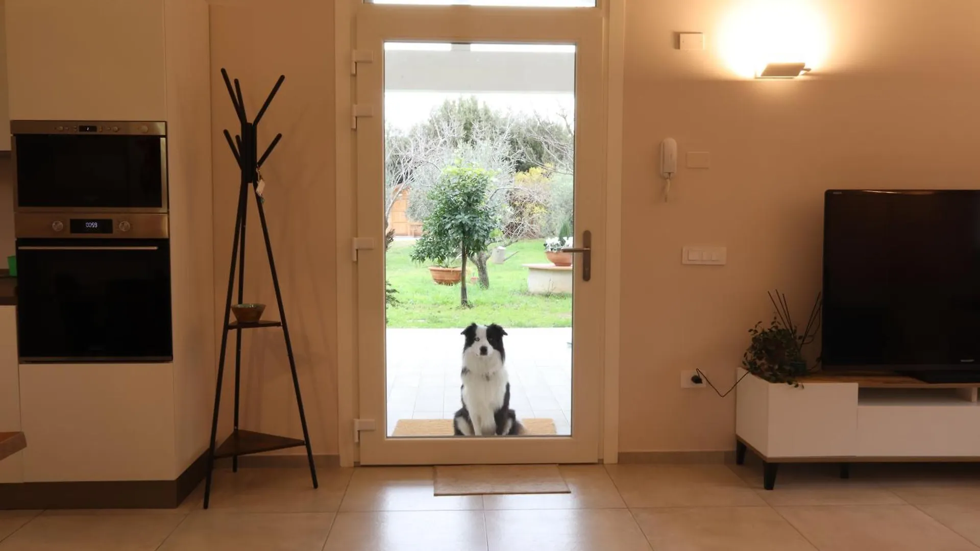 Casa Riva - Among Olive Trees And The Tuscan Coast Vada
